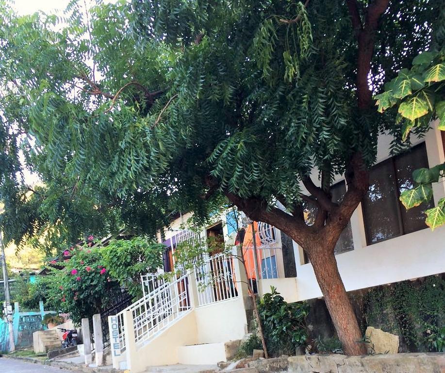 Lorena Surf Hostel サン・フアン・デル・スル エクステリア 写真